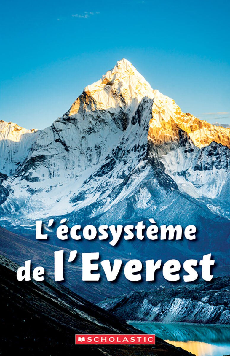 D&eacute;tectives de d&eacute;codage Trousse compl&egrave;te image number 7