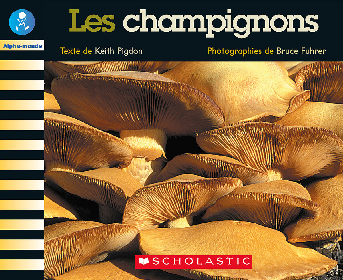 Alpha-monde: Niveau 15 (I): Les champignons Emballage de 6