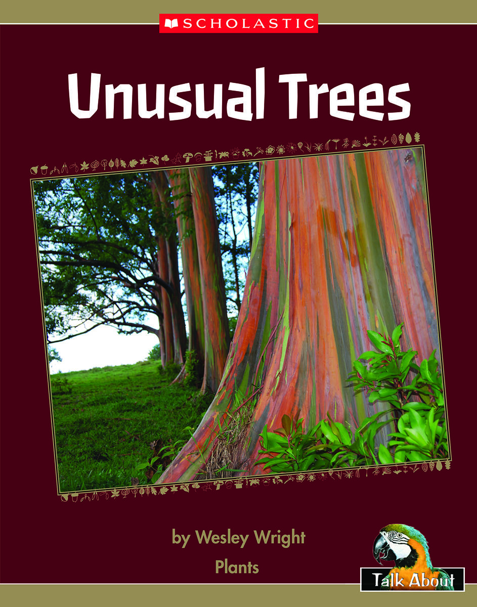 Talk About The Natural World: Plants: Unusual Trees 4 Pack image number 1