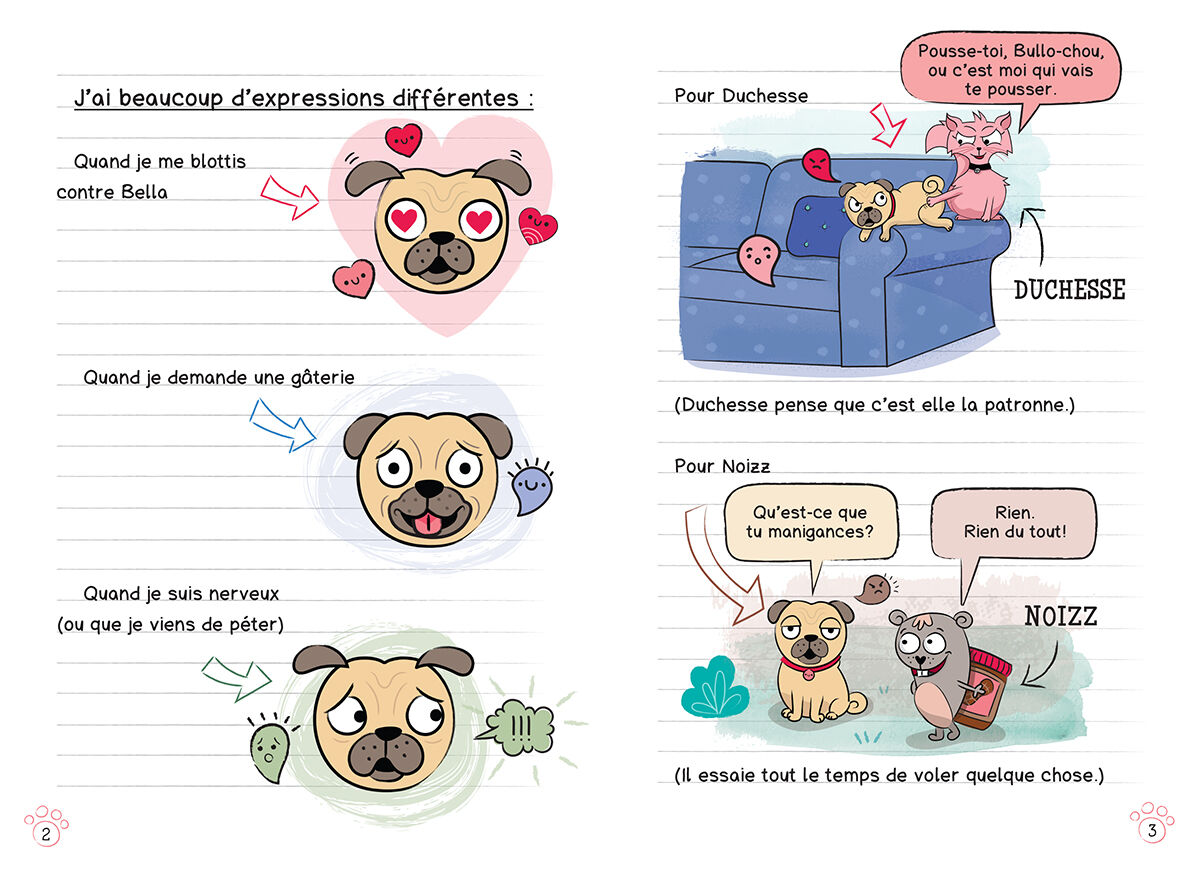 Journal d&rsquo;un carlin : N&deg; 3 - Le lave-o-thon pour chiens image number 2