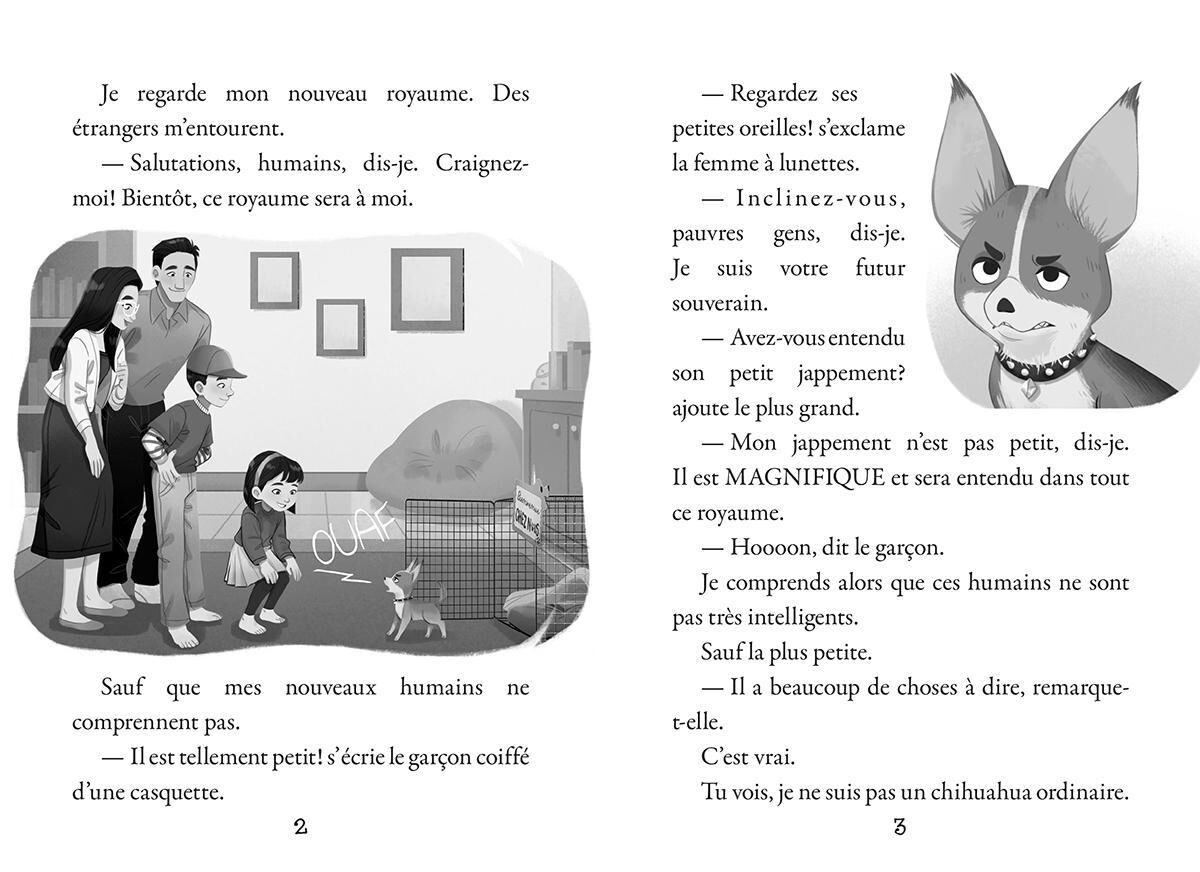 Complot d'animaux : N˚ 1 - Mon royaume obscur image number 2