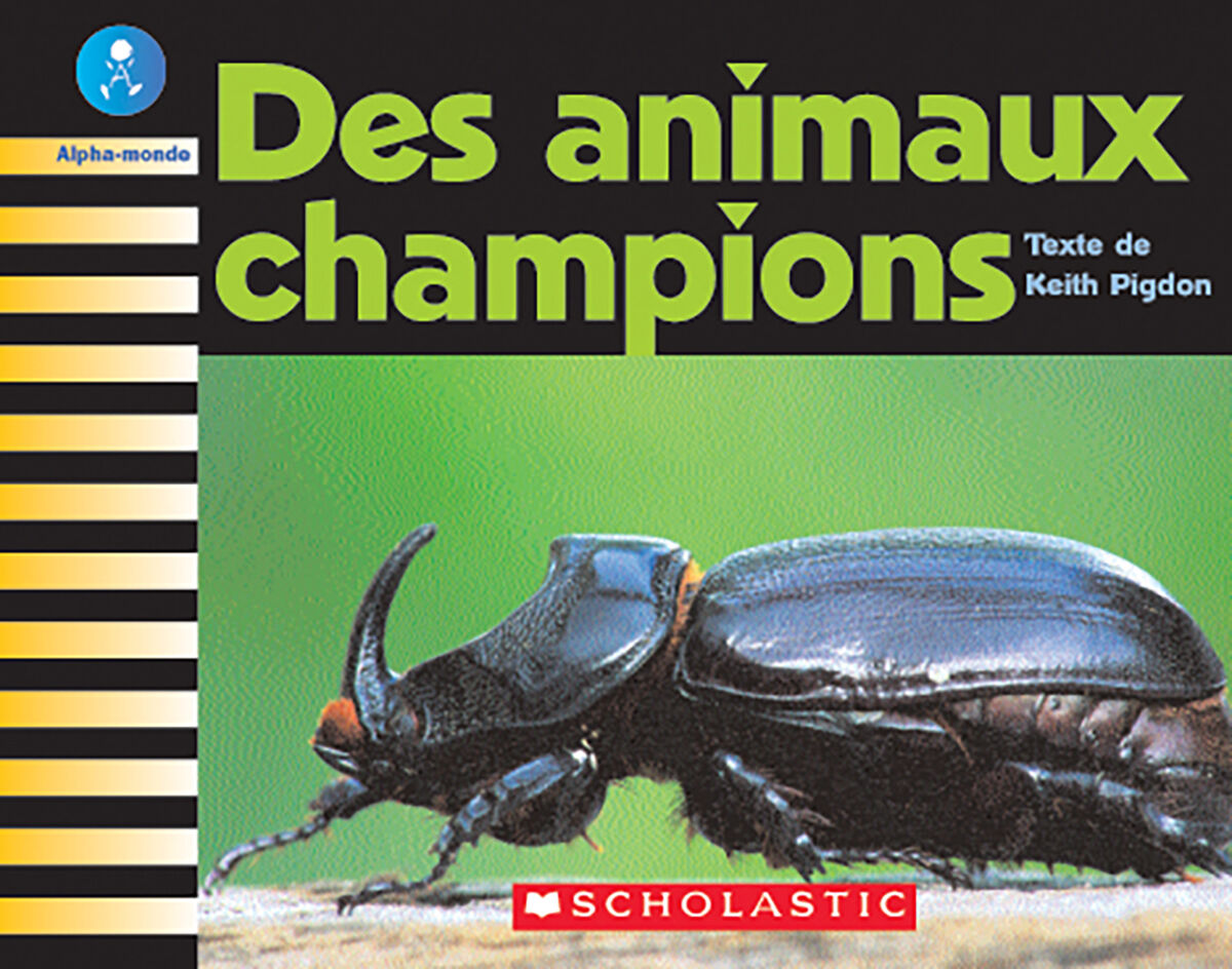 Alpha-monde: Emballage Niveau 22 (K) image number 4