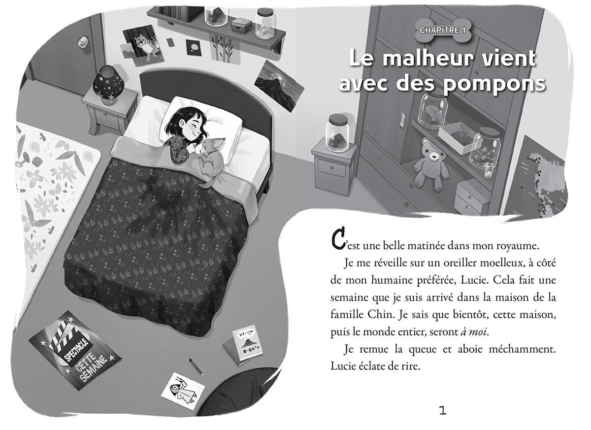 Complot d&rsquo;animaux : N˚ 2 - Caniche de malheur image number 1