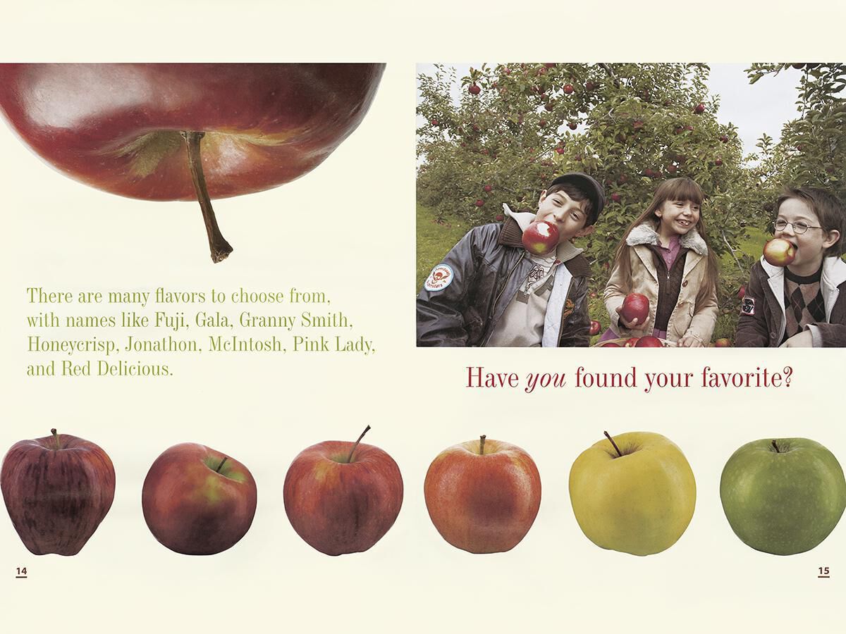 Informational Big Books image number 2