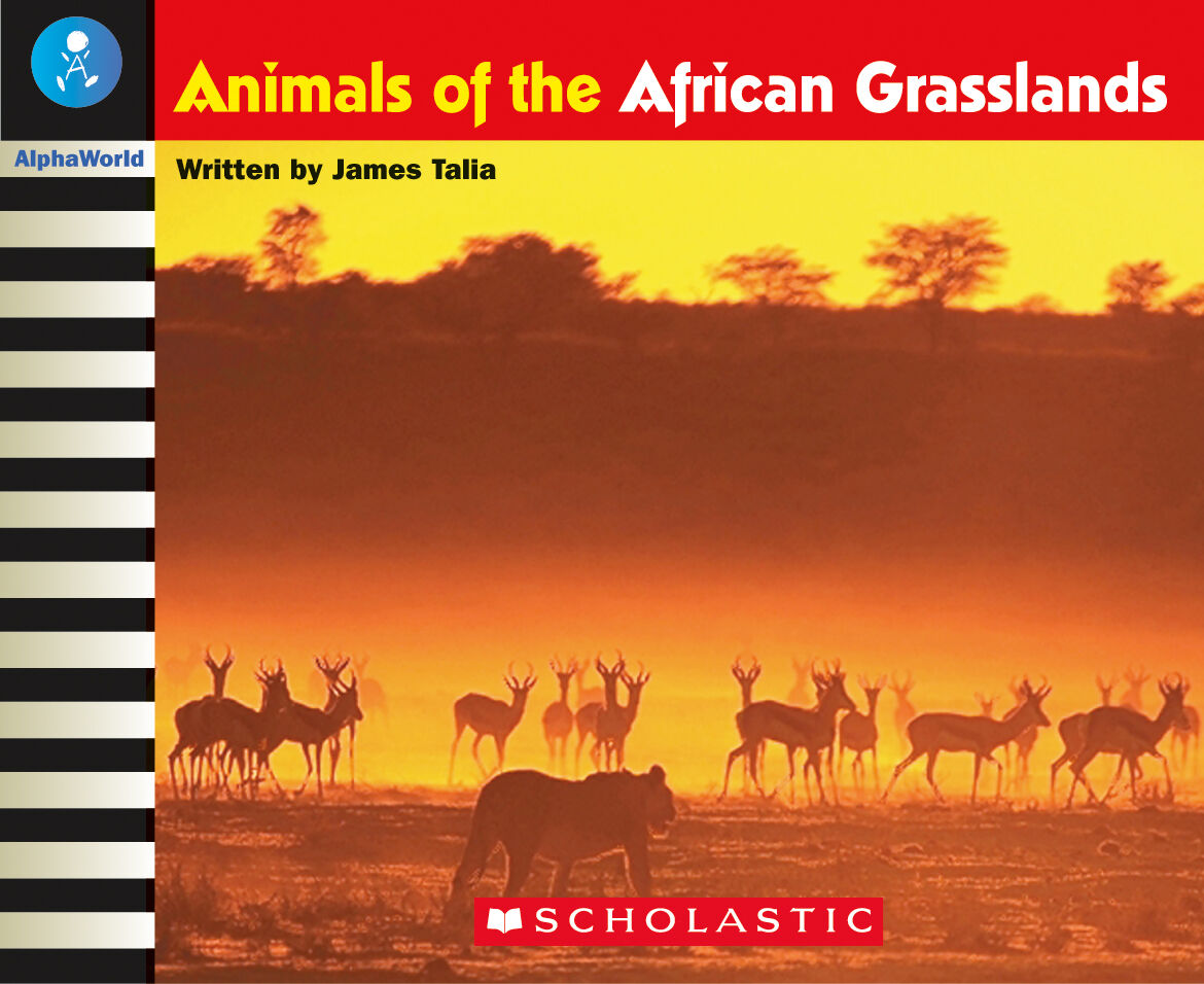 AlphaWorld: Level 24 (L) Multi-pack image number 4