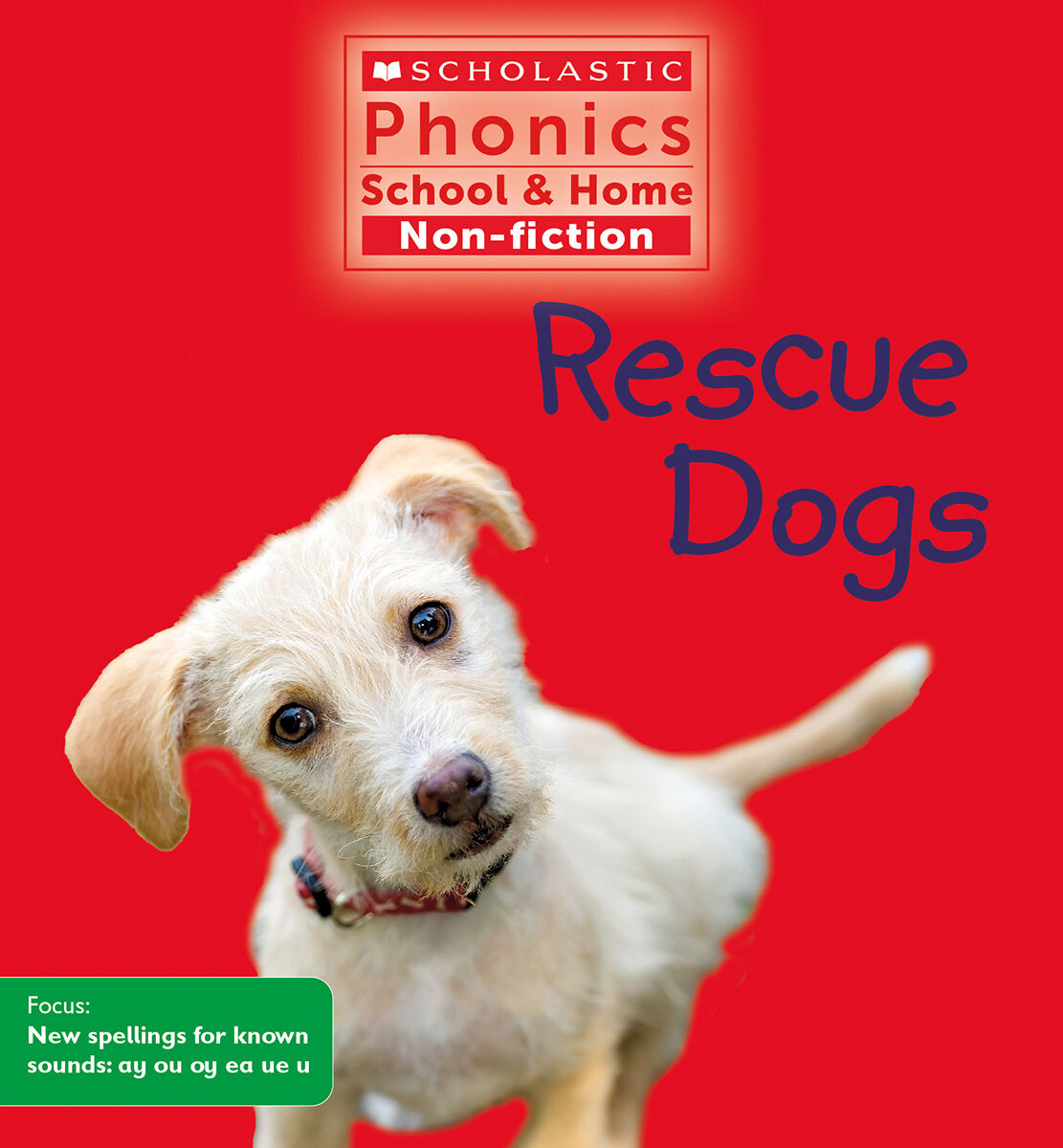 Scholastic Phonics School & Home Non-fiction Collection 3: Sets 9-13 image number 1