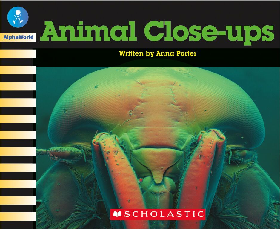 AlphaWorld: Level 11 (G) Multi-pack image number 3