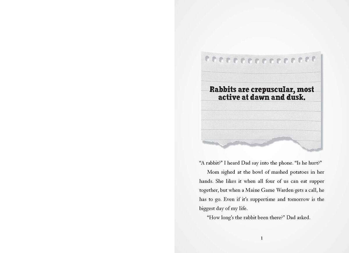 Because of the Rabbit image number 1