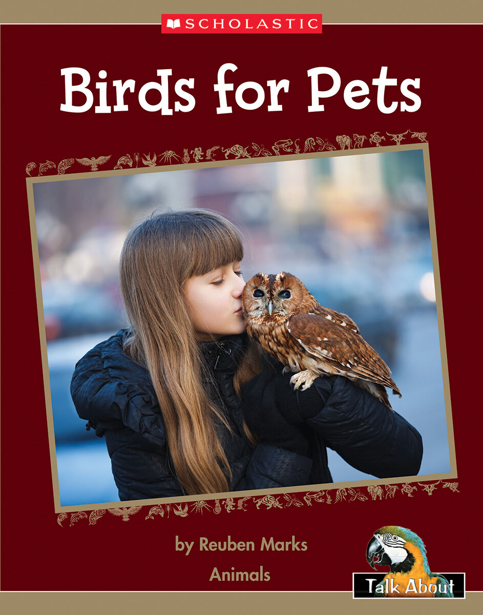 Talk About The Natural World: Animals: Birds for Pets 4 Pack image number 1