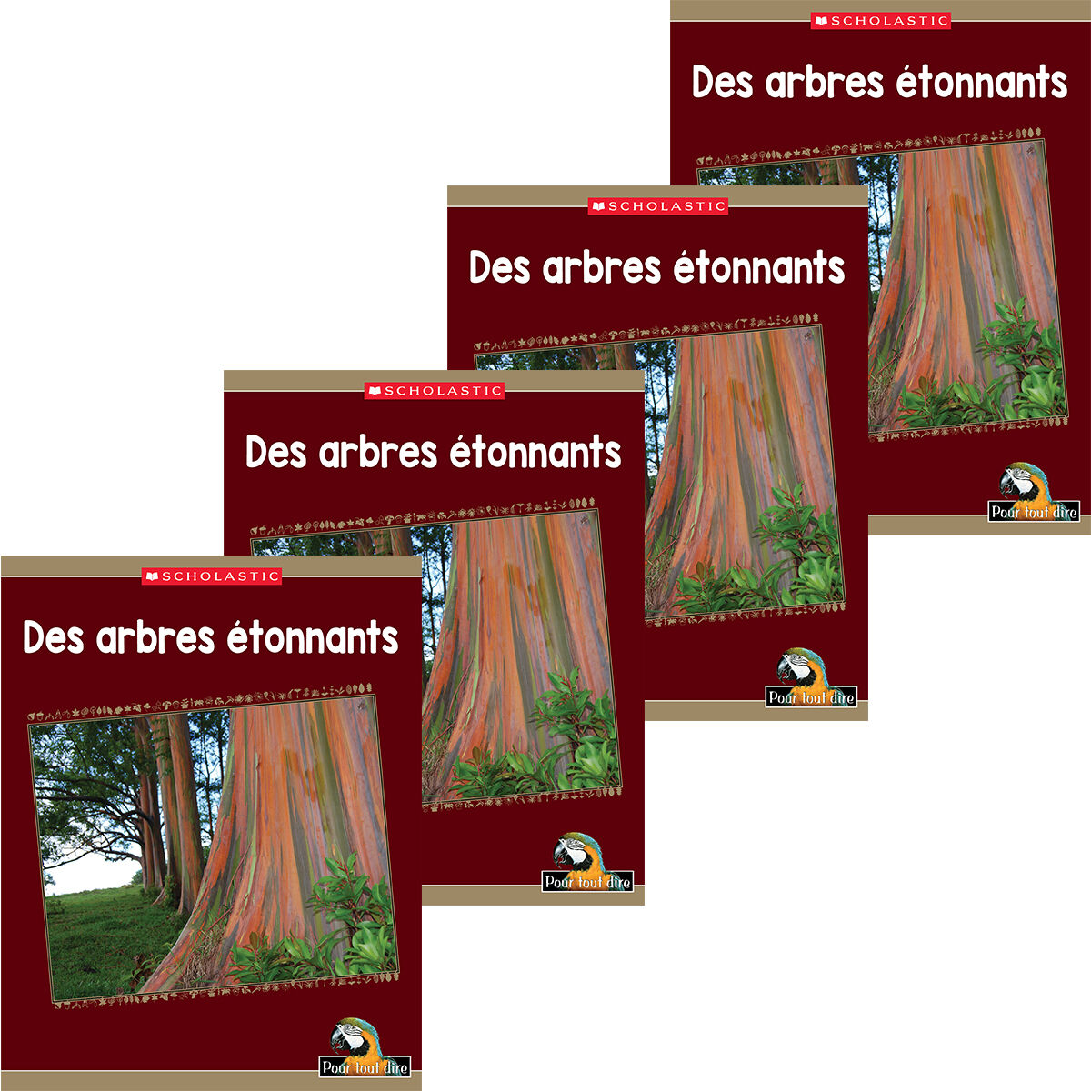 Pour tout dire: Le monde naturel: Les plantes: Des arbres &eacute;tonnants Emballage de 4 image number 0