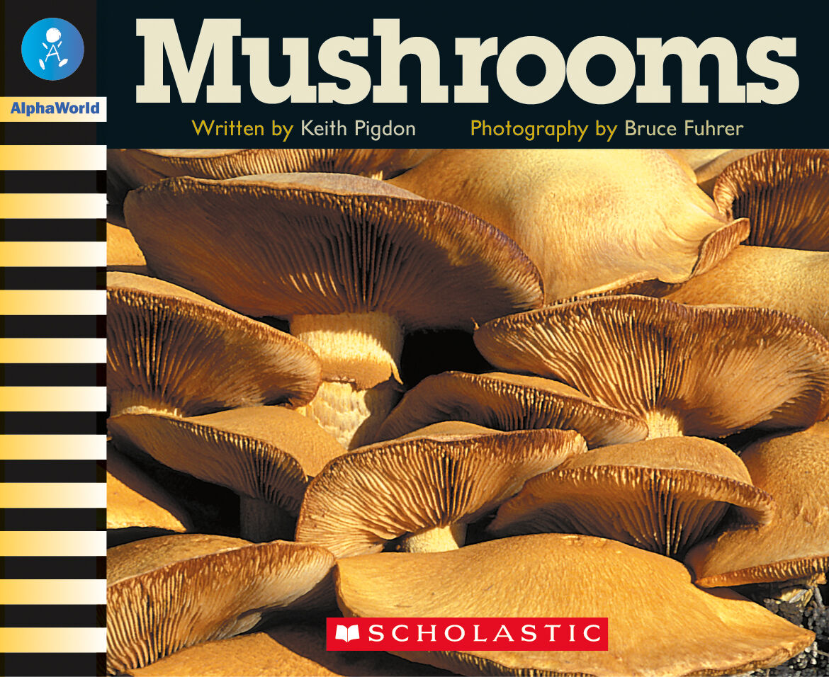 AlphaWorld: Level 14 (H) Multi-pack image number 1