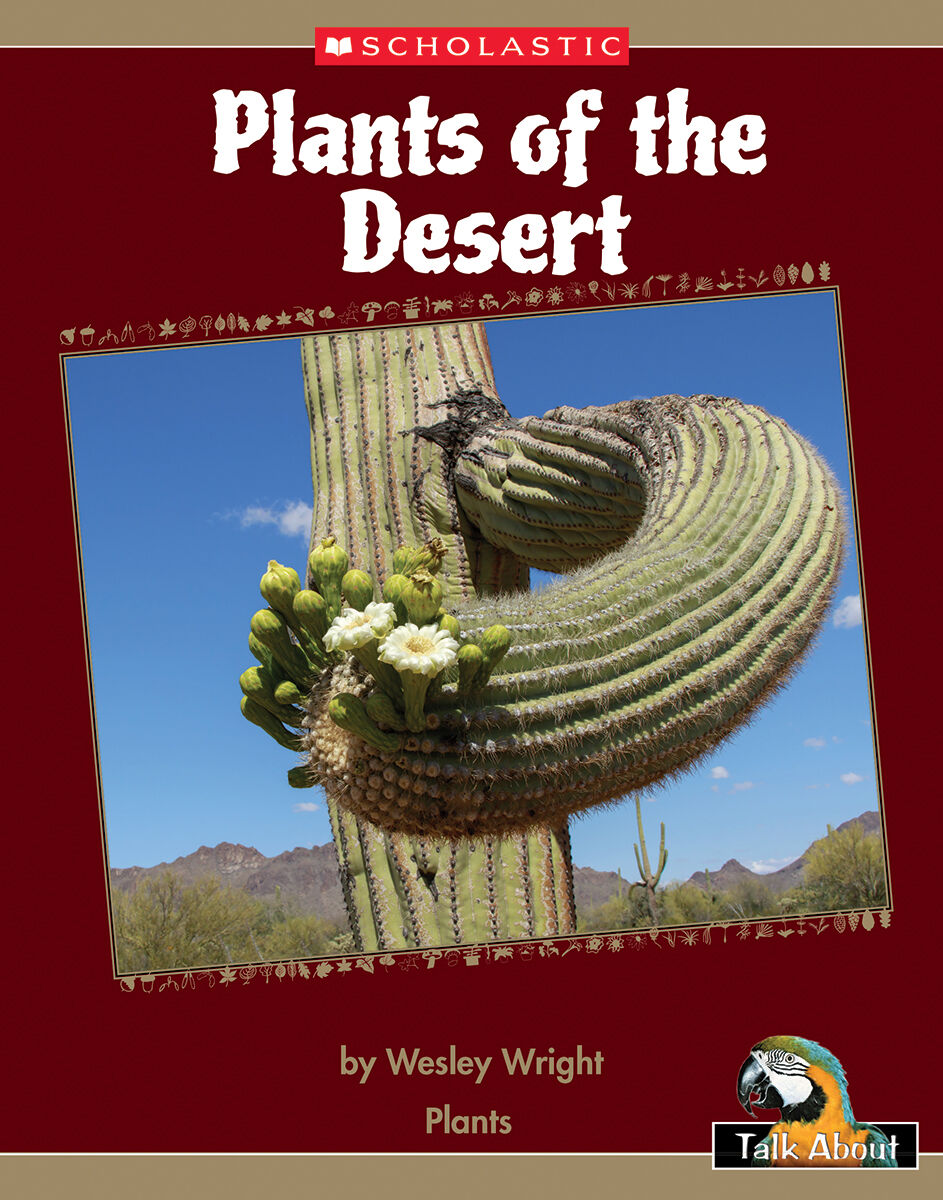 Talk About The Natural World: Plants: Plants of Desert 4 Pack image number 1