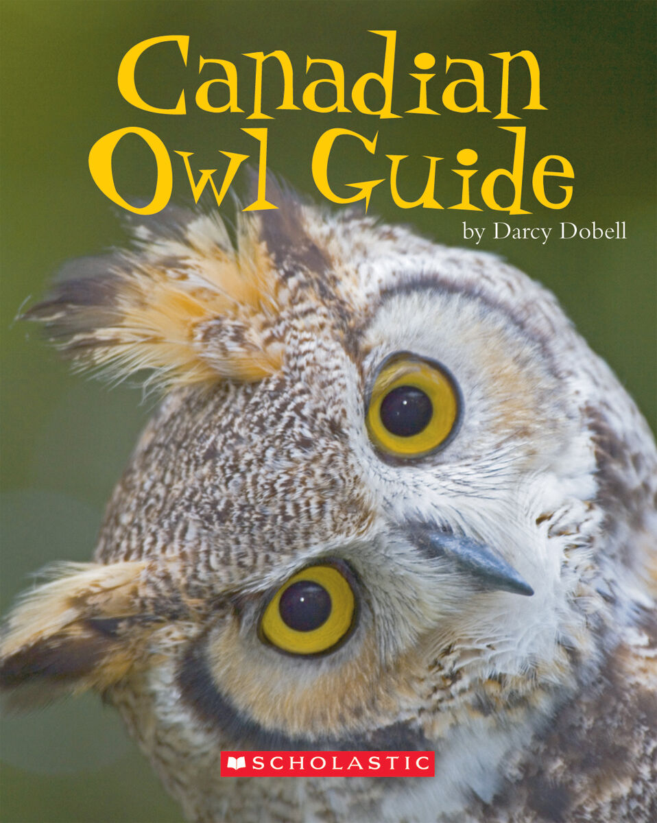 LPEY Levelled Libraries: Level S image number 9