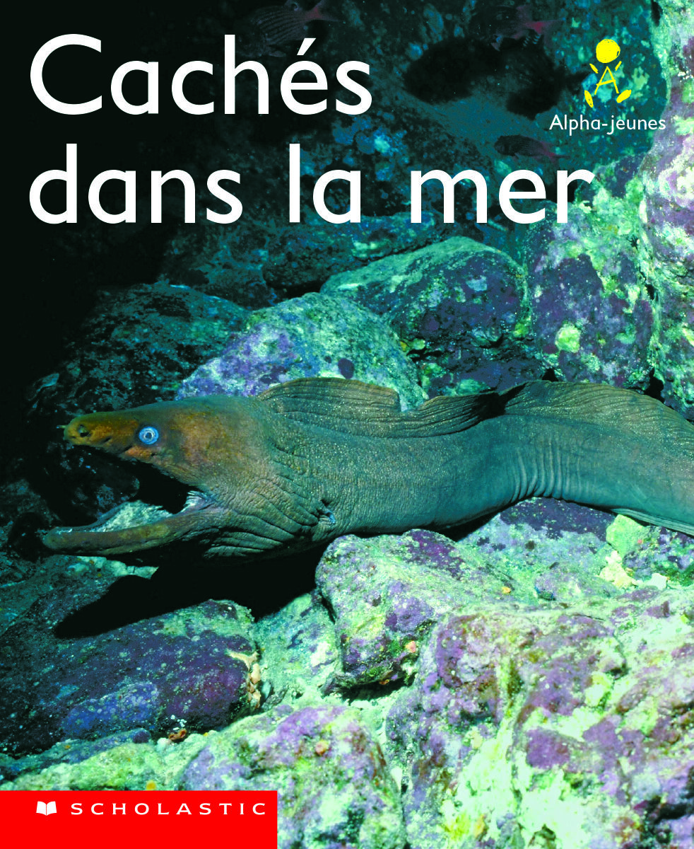 Alpha-jeunes: S&eacute;rie 2, Niveau 8 (E): Cach&eacute;s dans la mer Emballage de 6