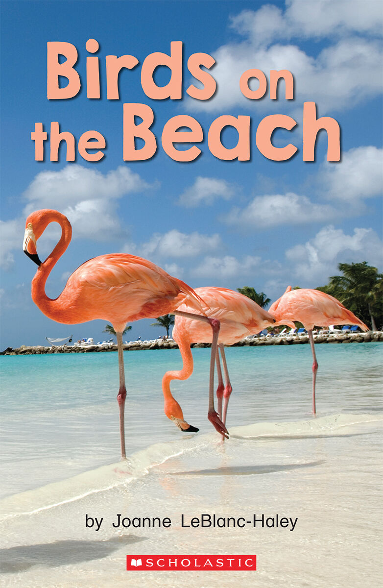 Literacy Place PLUS Grade 1 Small-Group Shared/Guided Library Pack image number 3