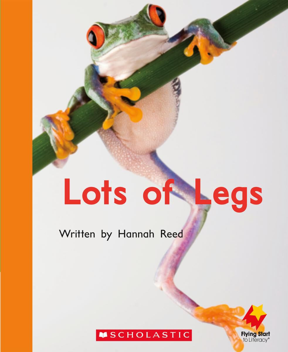 Flying Start: Level D Library pack image number 1