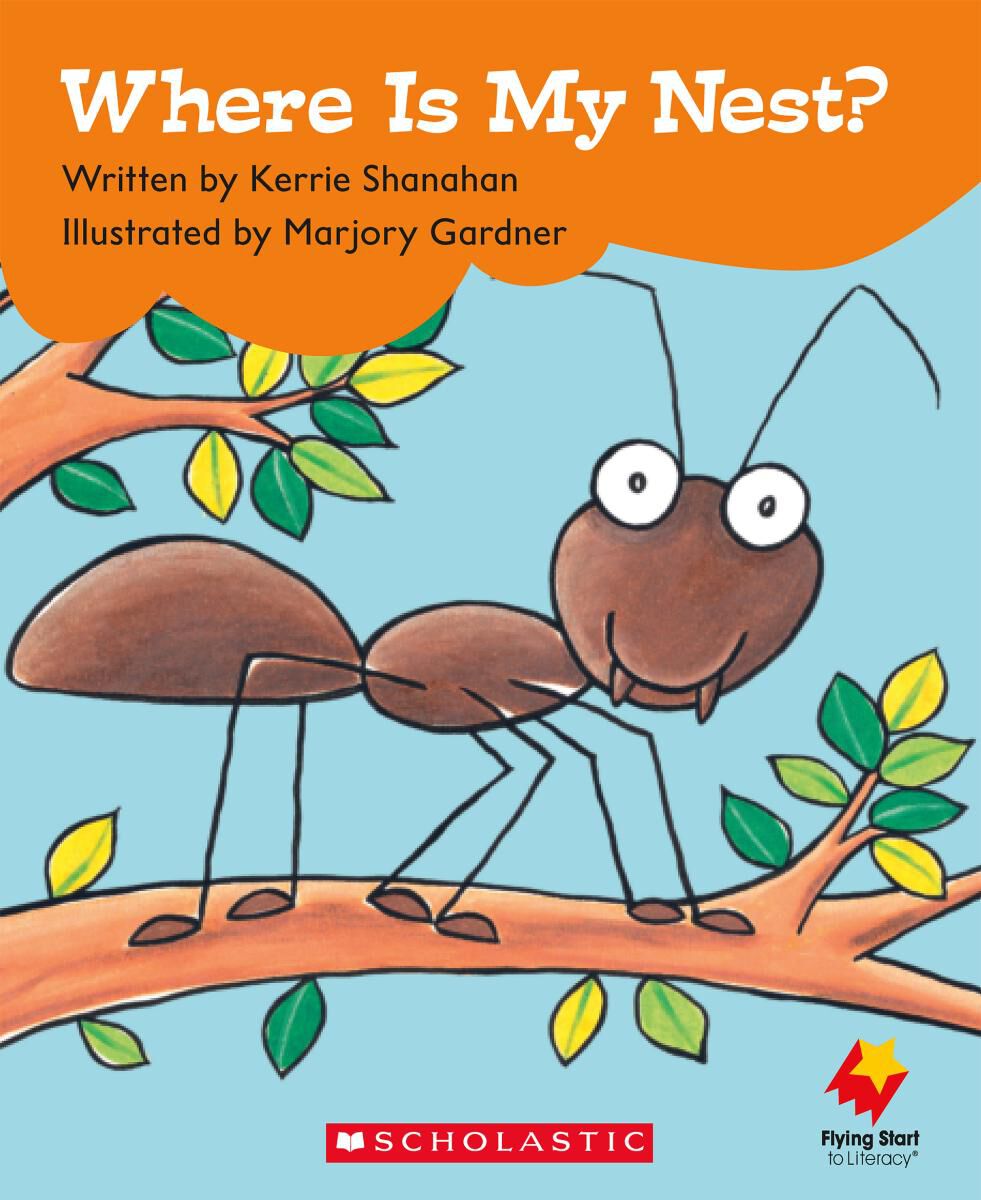 Flying Start: Level D Library pack image number 8