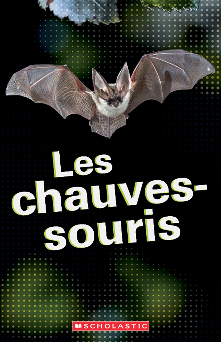 D&eacute;tectives de d&eacute;codage Emballage de biblioth&egrave;que image number 5