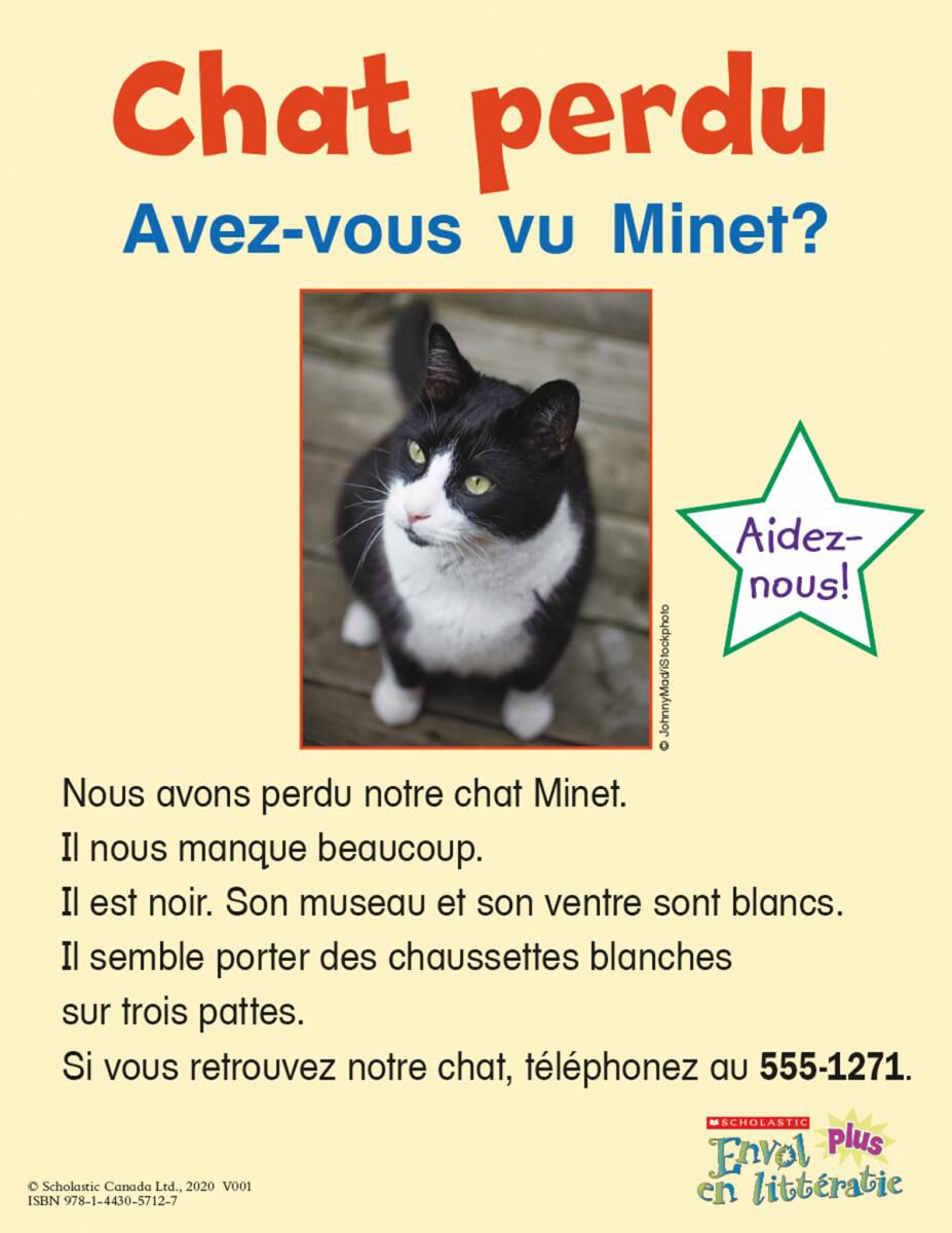 Envol an litt&eacute;ratie Maternelle &agrave; 4e ann&eacute;e: Niveau E: Chat perdu Emballage de 6