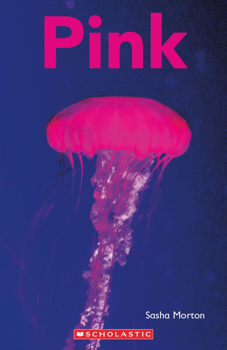 Scholastic Phonics Decoders Sets 2-8 image number 7