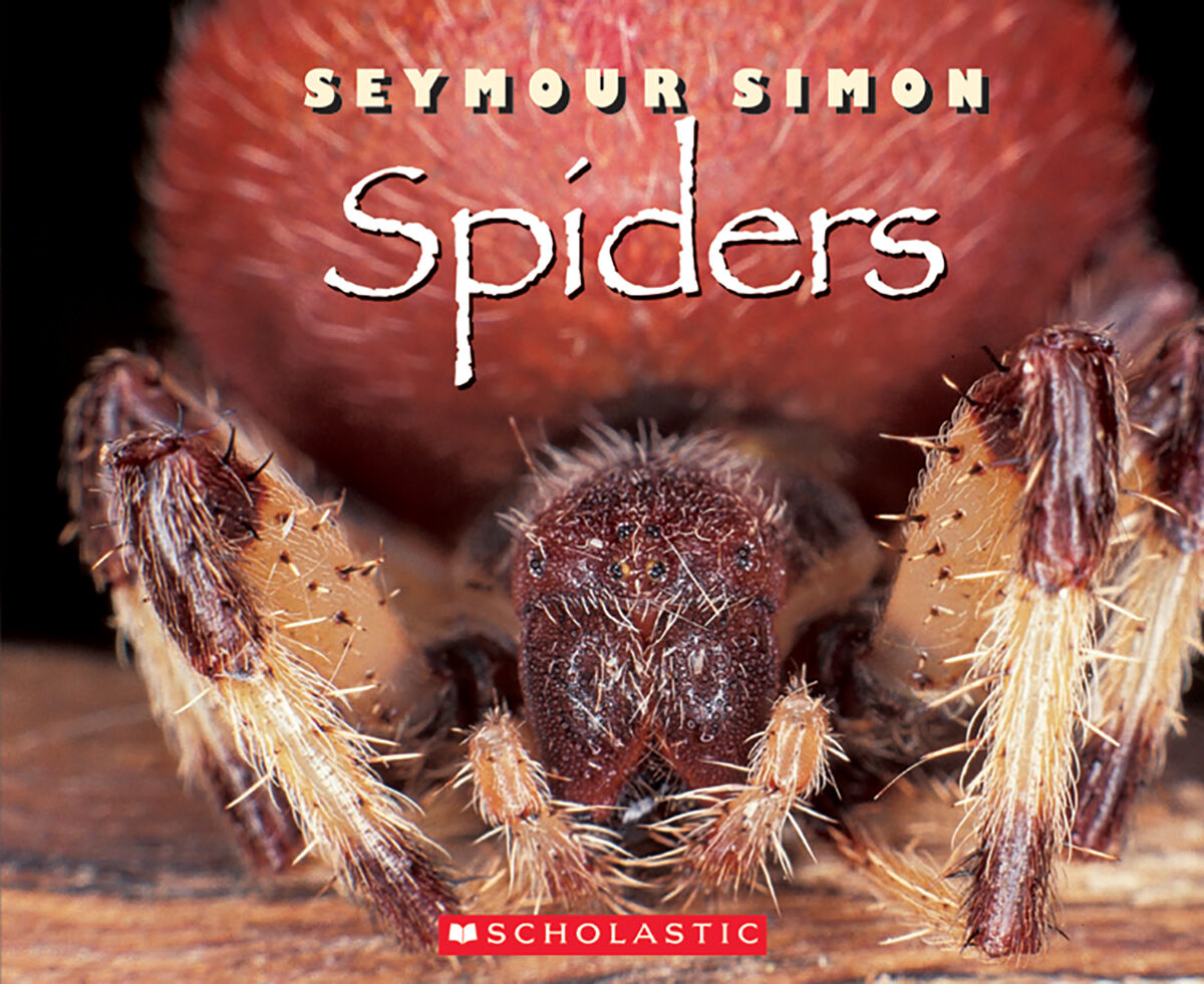 Moving Up Grade 5 Analyzing Strategy Unit image number 2