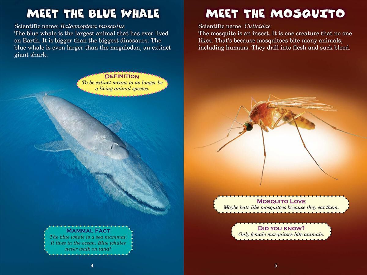 Who Would Win? Blue Whale vs. Mosquito image number 1