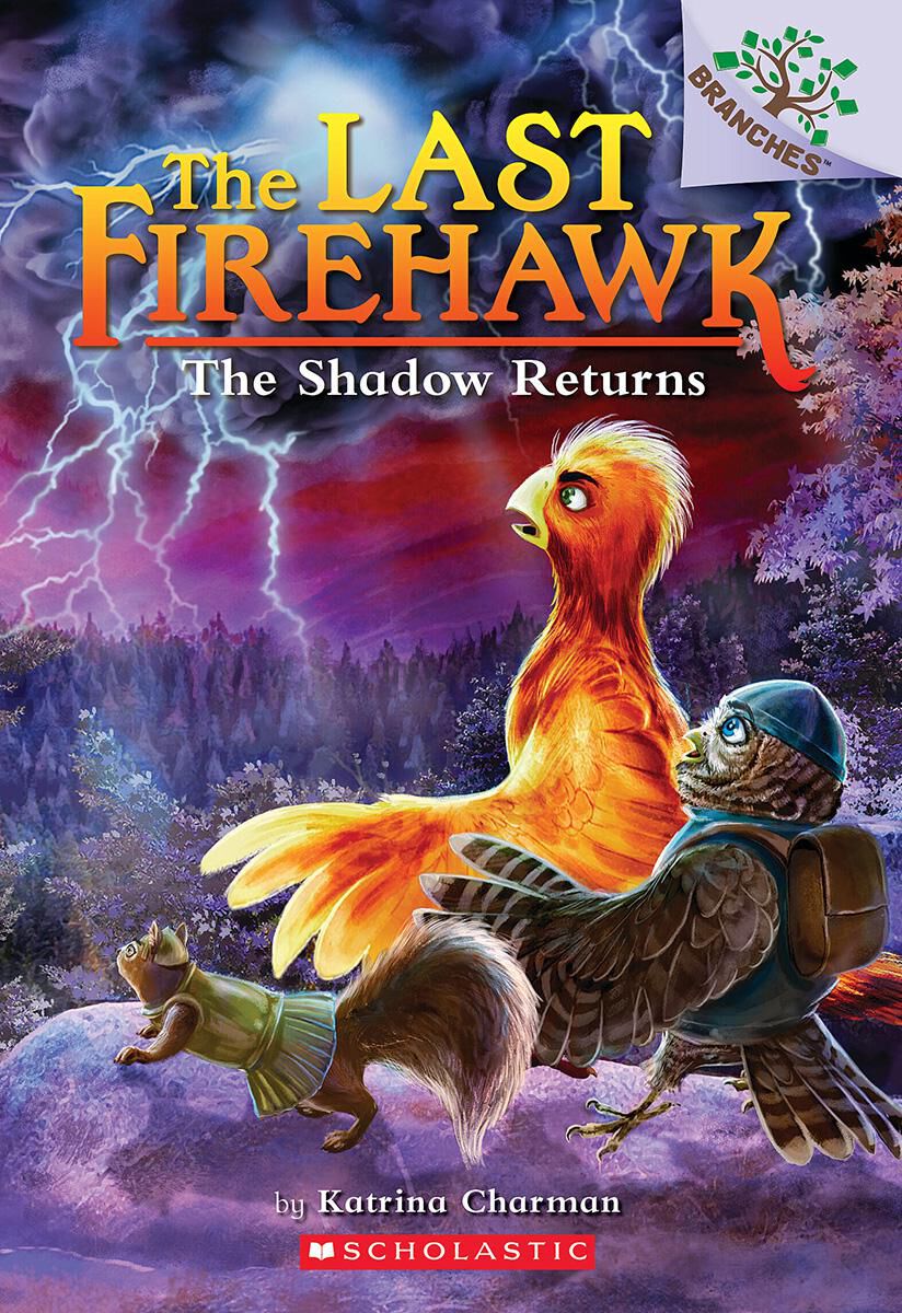 The Last Firehawk #12: The Shadow Returns image number 0