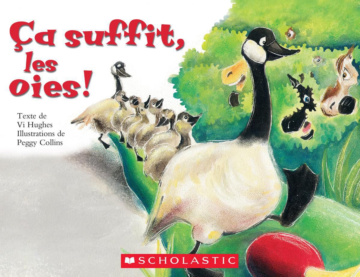 Envol en litt&eacute;ratie biblioth&egrave;que nivel&eacute;e G-I image number 4