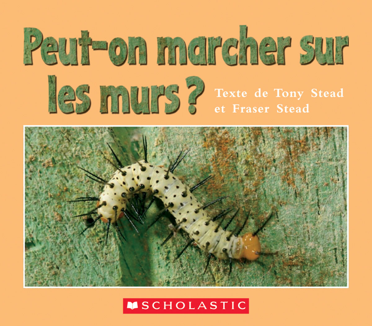 Envol an litt&eacute;ratie 1re ann&eacute;e: Niveau E: Peut-on marcher sur les murs? Emballage de 6