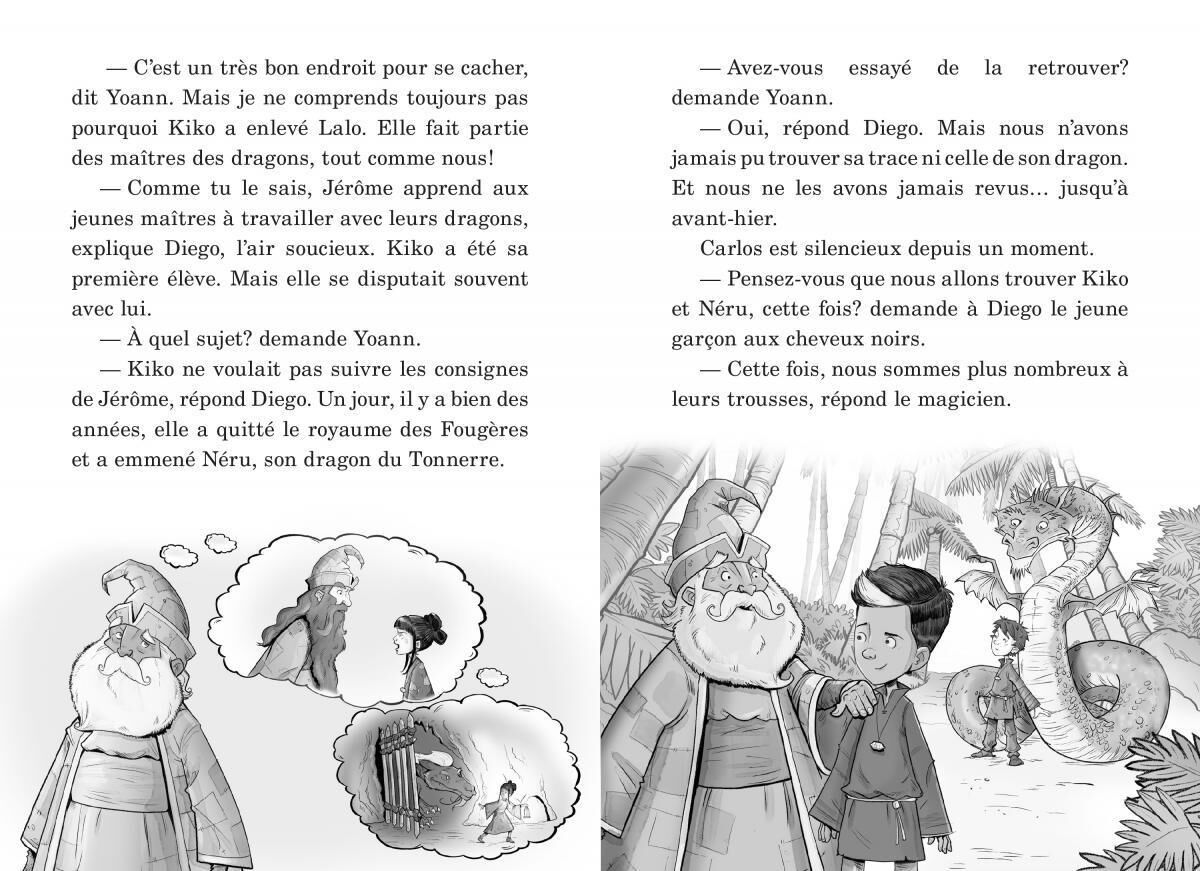 Ma&icirc;tres des dragons : N&deg; 8 - Le cri du dragon du Tonnerre image number 3