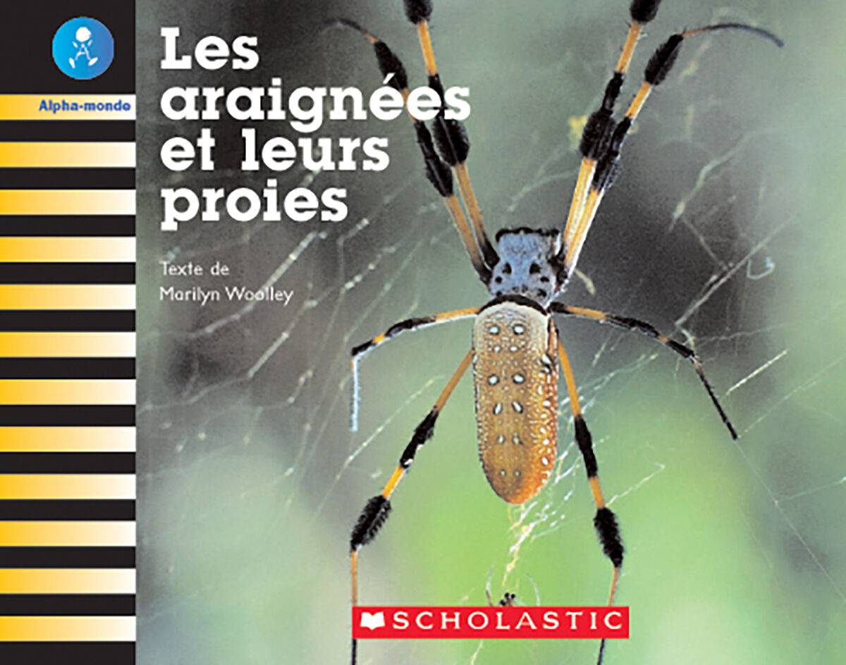Alpha-monde: Niveau 19 (J): Les araign&eacute;es et leurs proies Emballage de 6