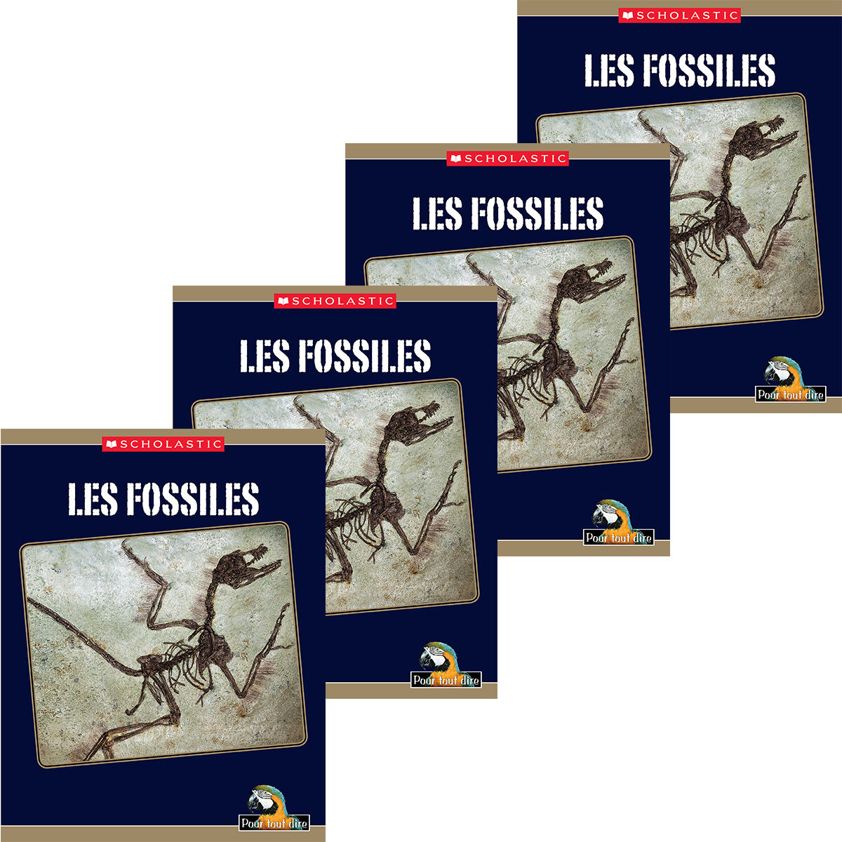 Pour tout dire Les sciences: La Terre et l'espace: Les fossiles Emballage de 4