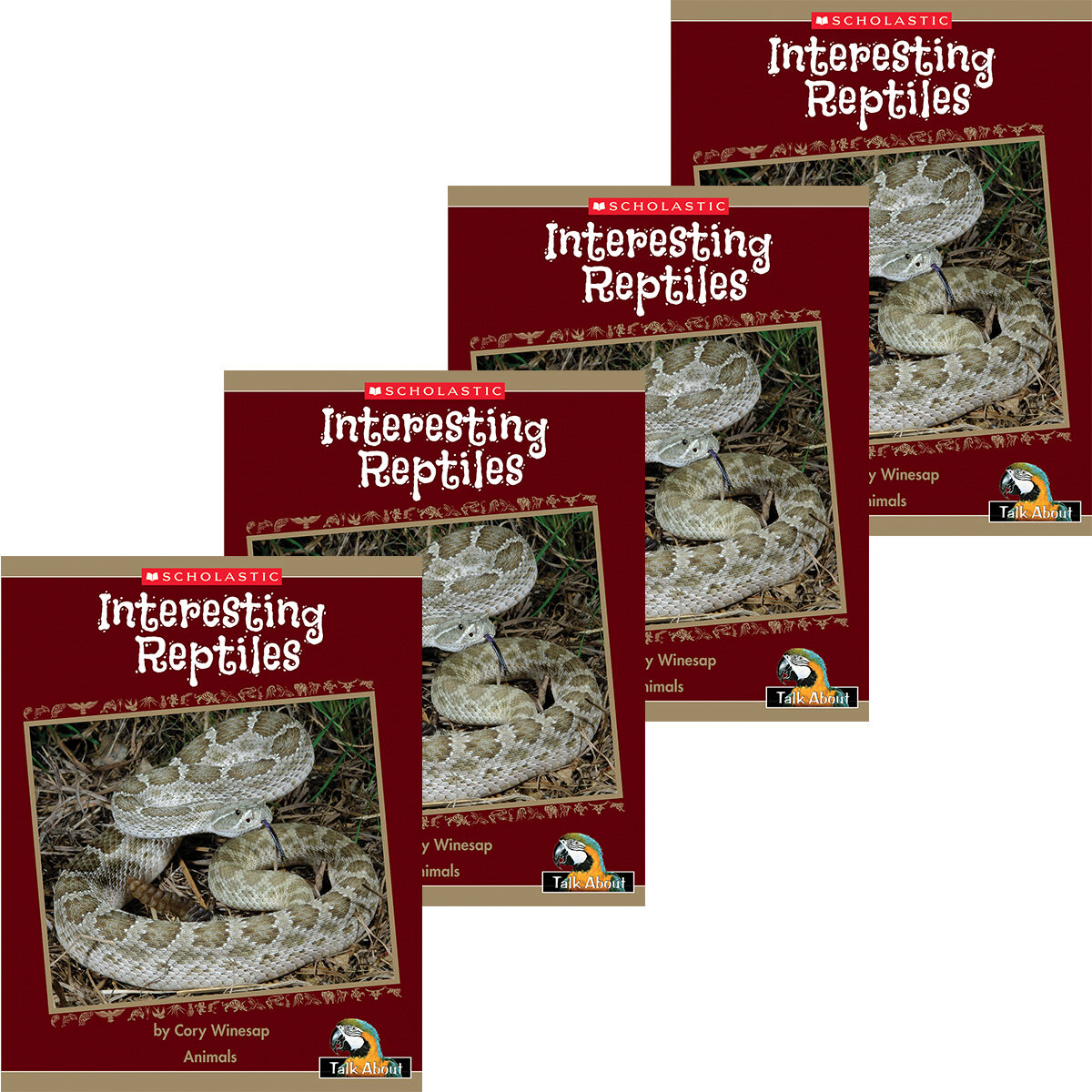 Talk About The Natural World: Animals: Interesting Reptiles 4 Pack