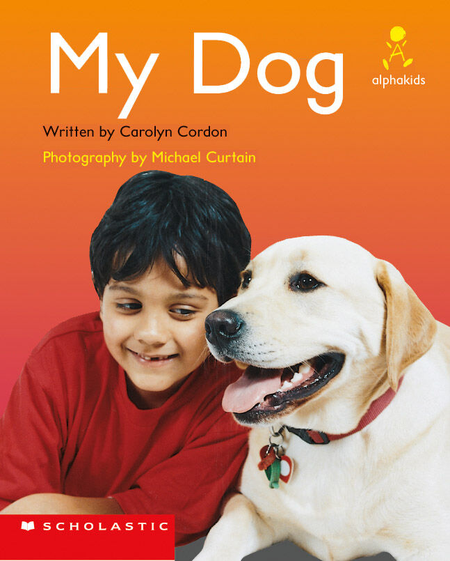 Alphakids: Set 2, Level 3 (C): Firefighters 6 Pack image number 1