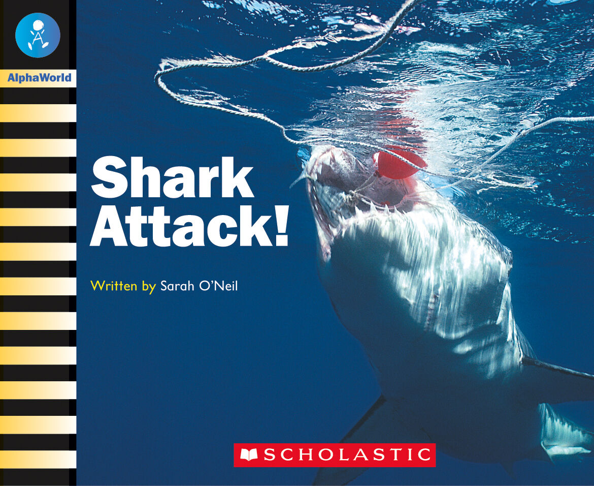 AlphaWorld: Level 16 (I) Multi-pack image number 2