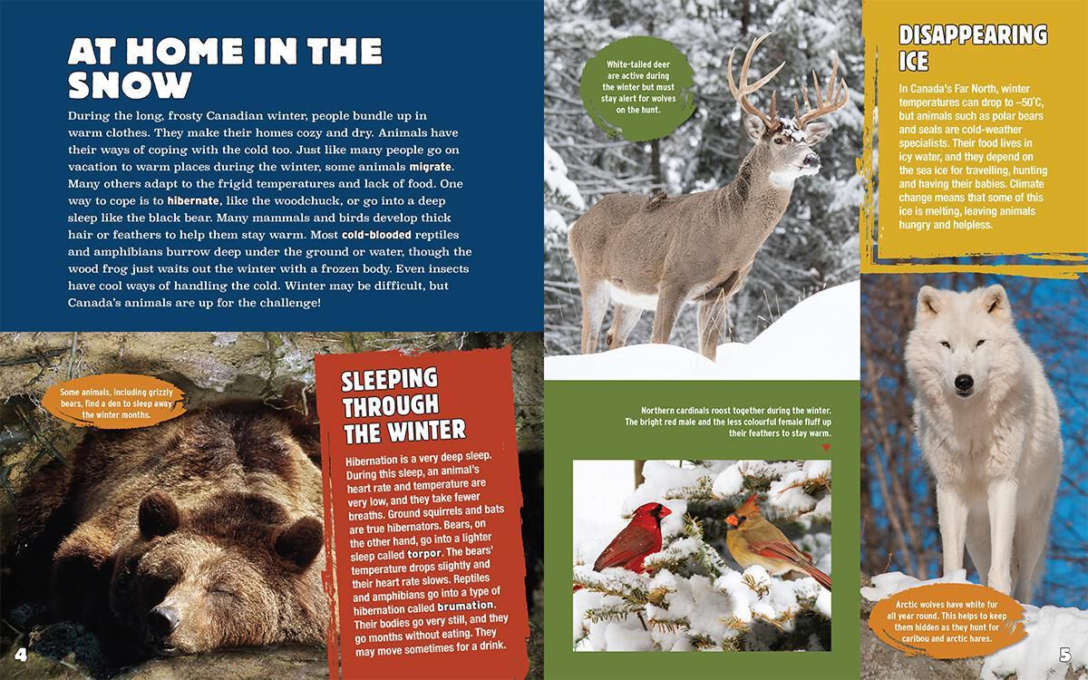 Best of Scholastic Canada: Grades 4&ndash;6 image number 6