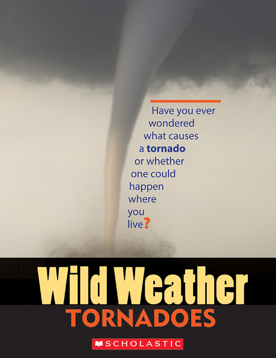 Moving Up Grade 5 Analyzing Strategy Unit image number 5