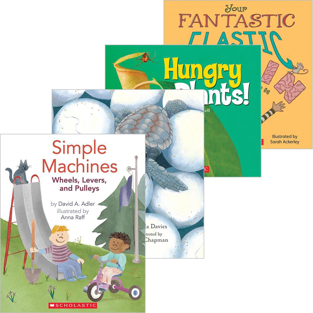 STEAM 2-3 Collection image number 0