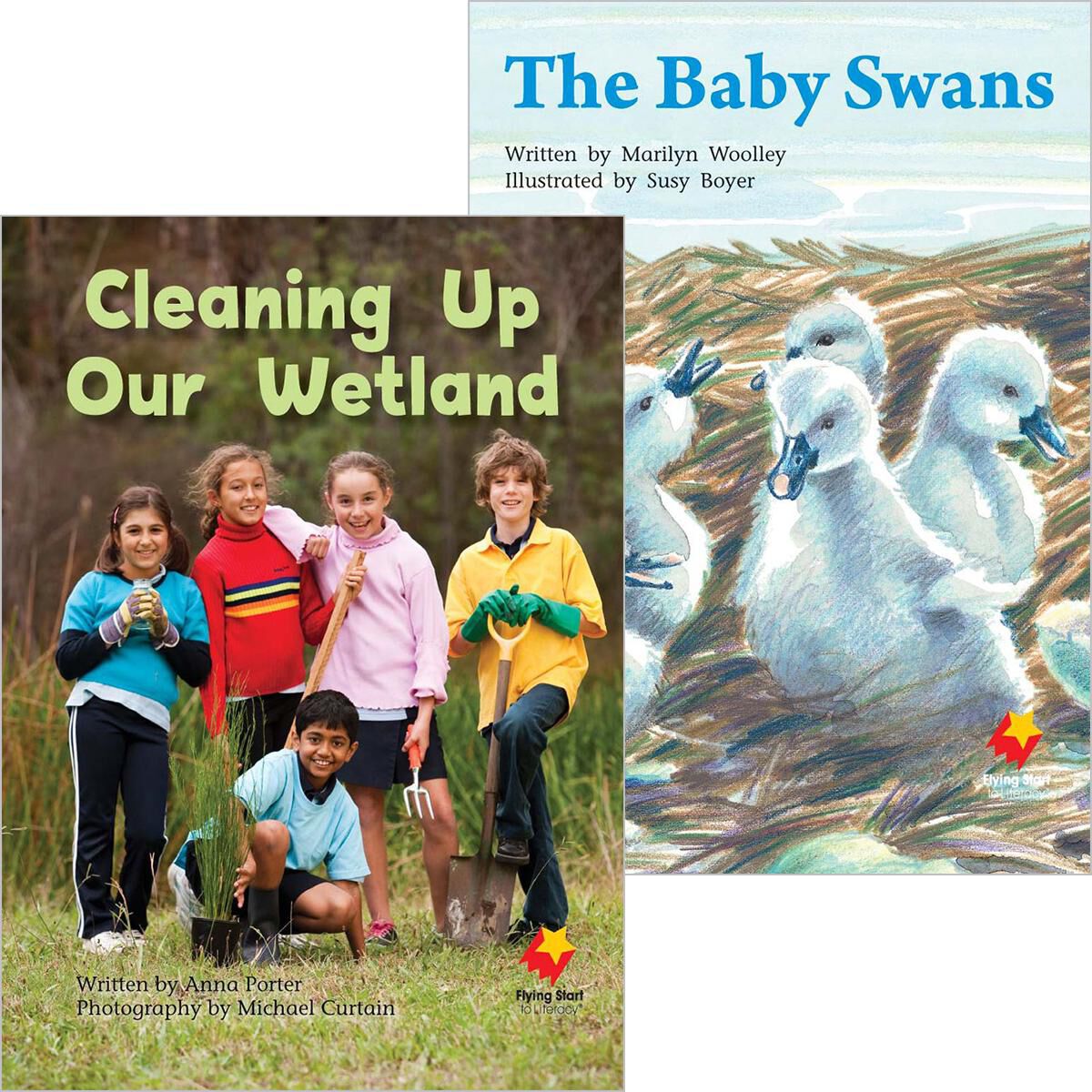 Flying Start: Level I: Cleaning Up Our Wetland/The Baby Swans 12 Pack
