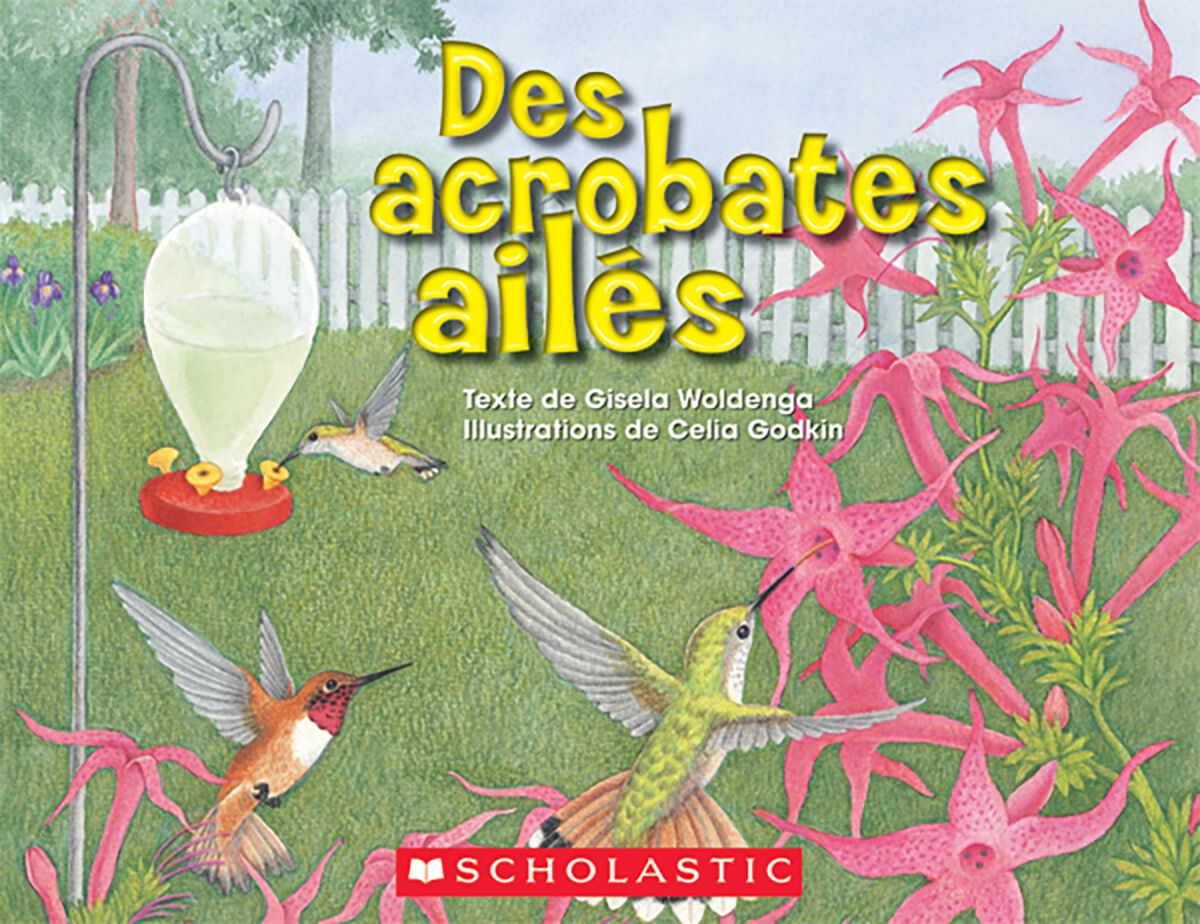 Envol an litt&eacute;ratie Trousse compl&egrave;te de lecture guid&eacute;e: Niveaux M &agrave; P image number 8