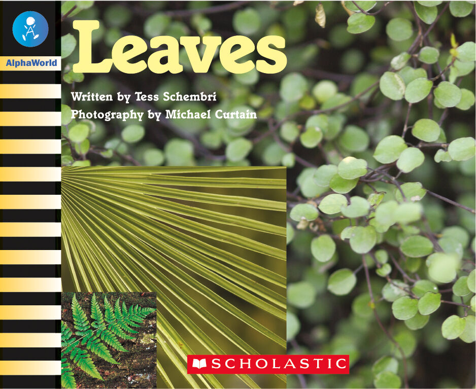 AlphaWorld: Levels 1-5 Book Set image number 9