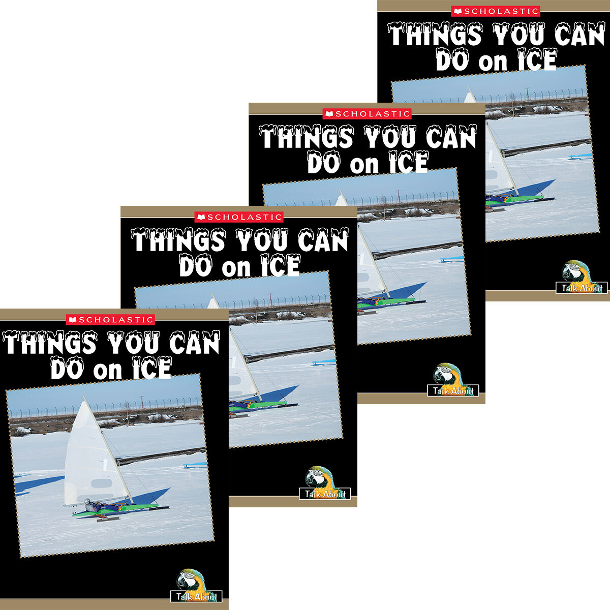 Talk About Things Around Me: Sports and Recreation: Things You Can Do on Ice 4 Pack image number 0