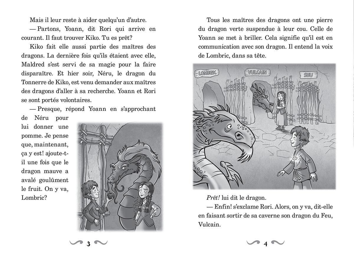 Ma&icirc;tres des dragons : N&deg; 15 - Le futur du dragon du Temps image number 2