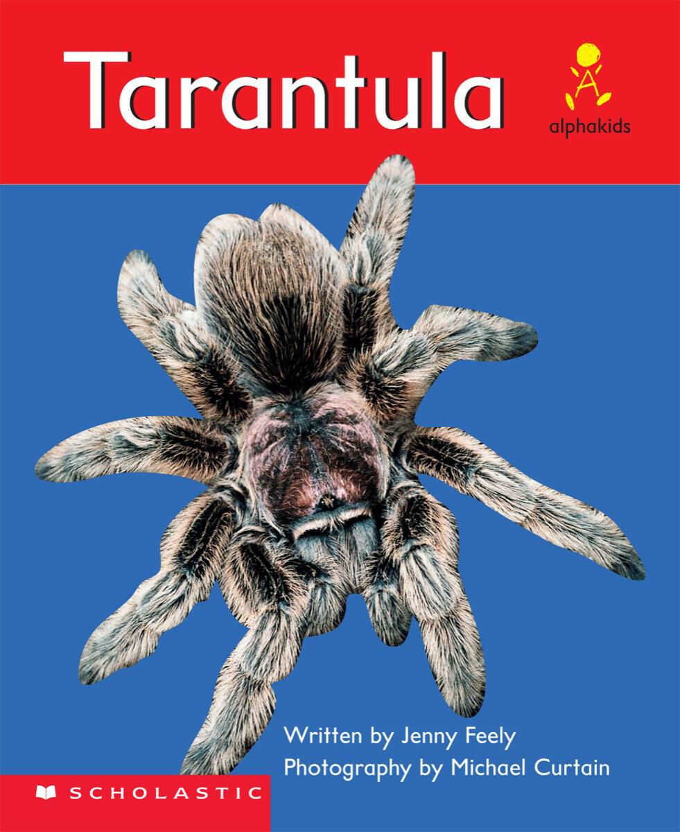 Alphakids: Set 1, Level 11 (G): Tarantula 6 Pack image number 1