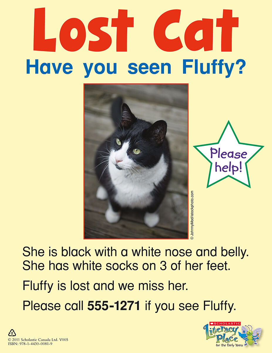 Literacy Place PLUS Kindergarten: Level D: Lost Cat 6 Pack