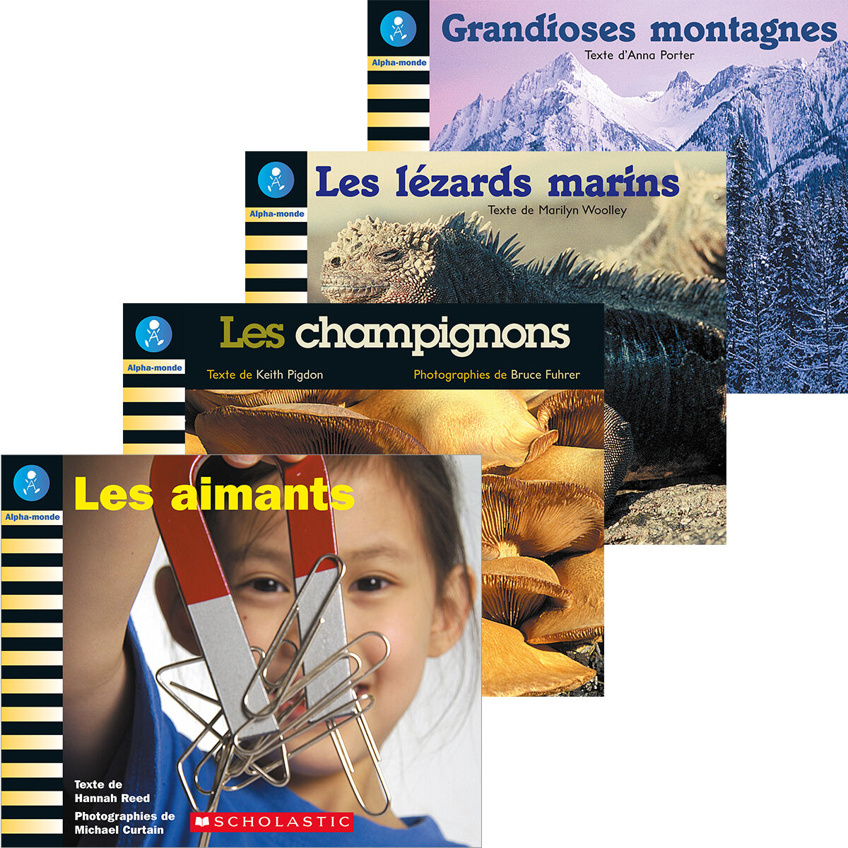 Alpha-monde: Emballage Niveau 15 (I)