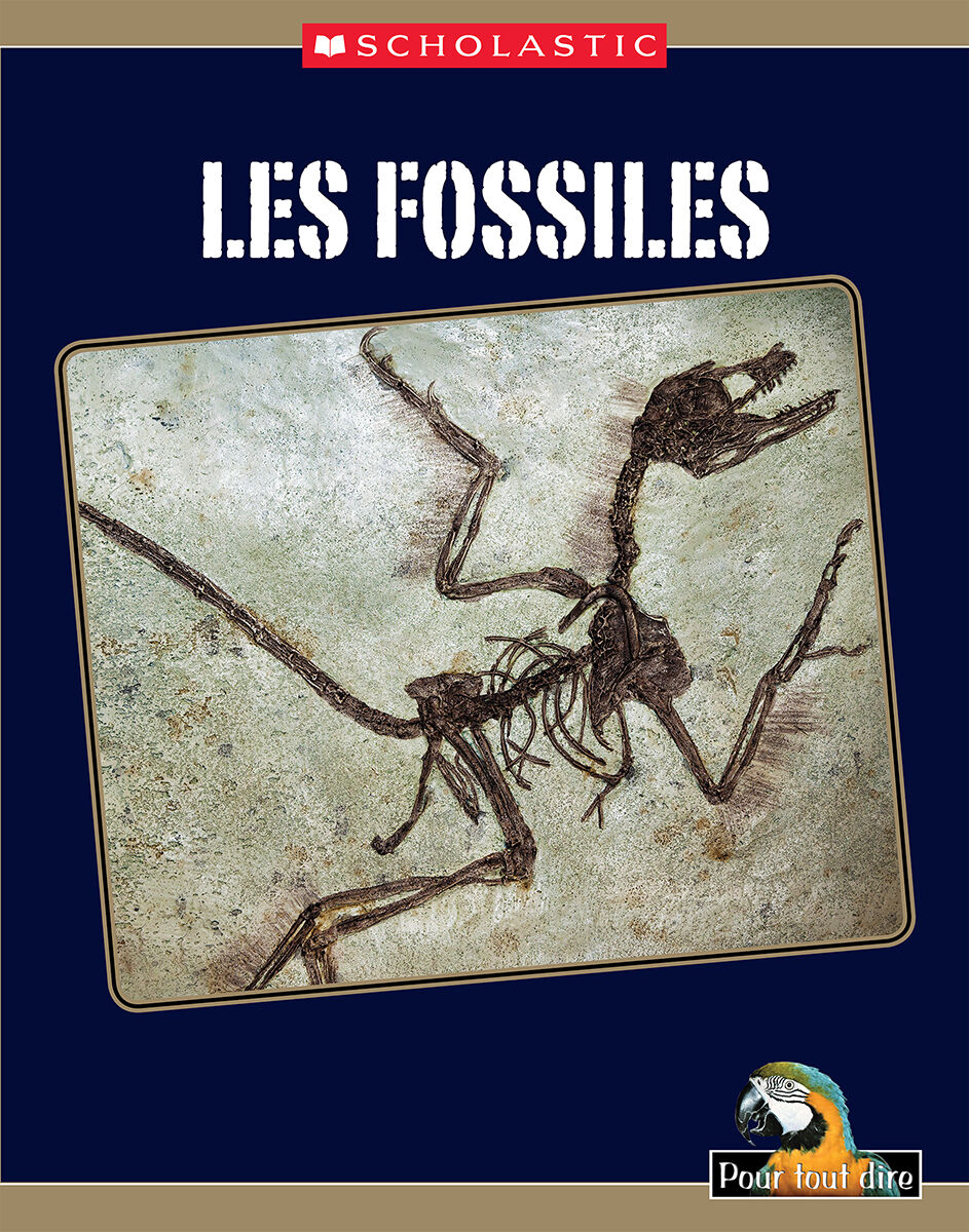 Pour tout dire Les sciences: La Terre et l'espace: Les fossiles Emballage de 4 image number 1