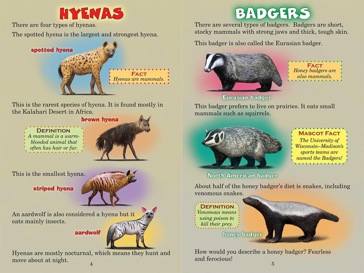 Who Would Win? Hyena vs. Honey Badger image number 1