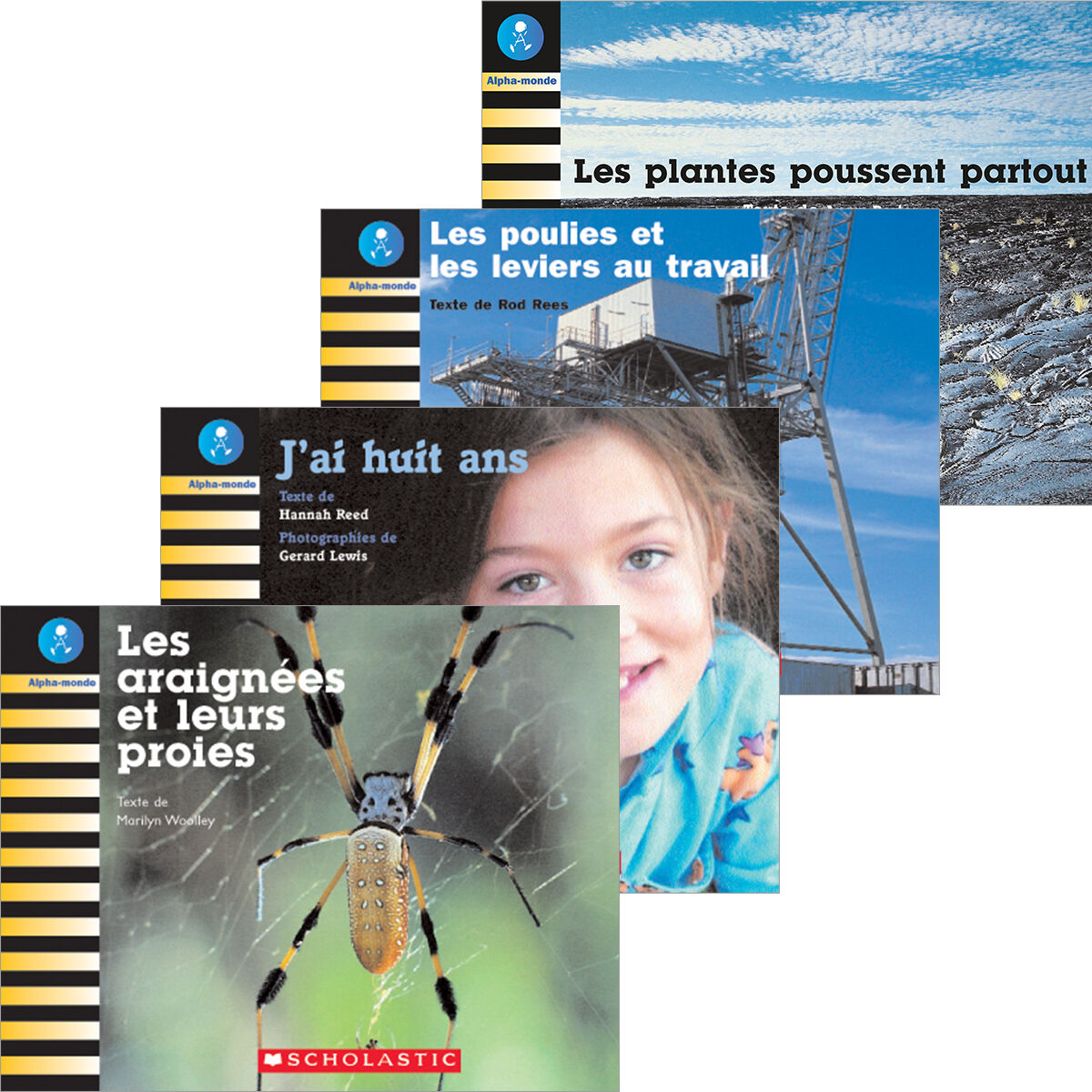 Alpha-monde: Emballage Niveau 19 (J)