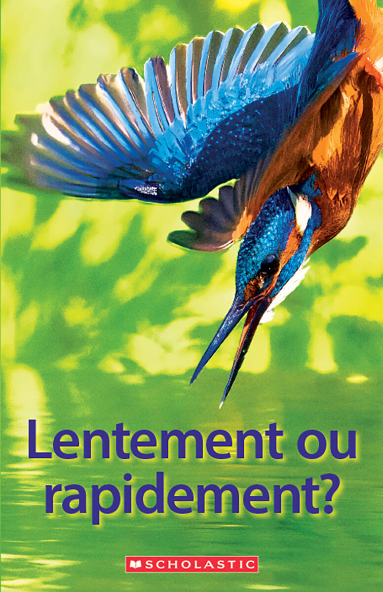 D&eacute;tectives de d&eacute;codage Niveaux 1-10 image number 2